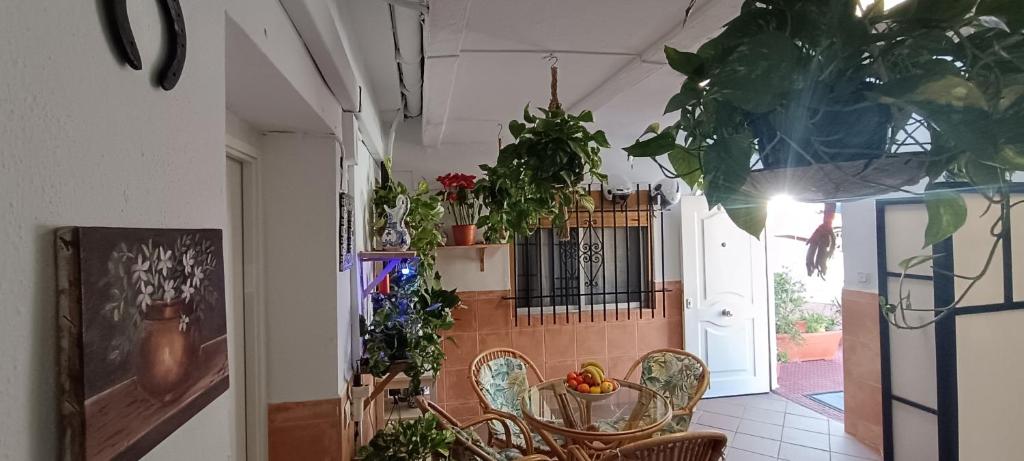 Apartamento en Málaga ciudad, turismo y playa - 2