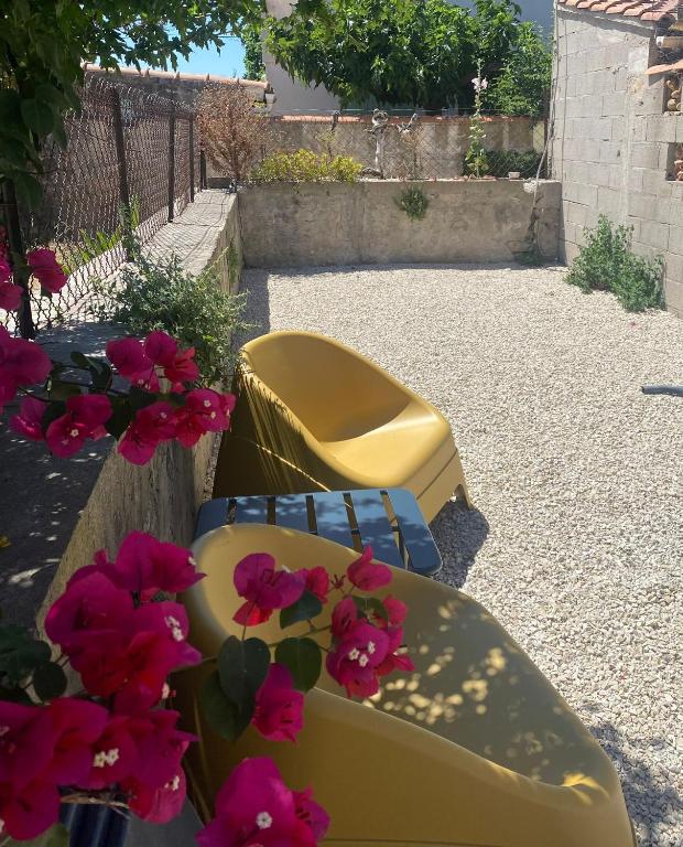 Chez Aurelie appartement arles - 2