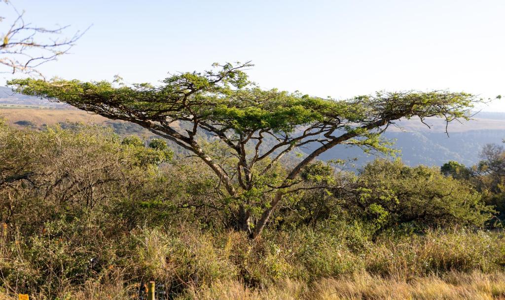 Surrounding environment