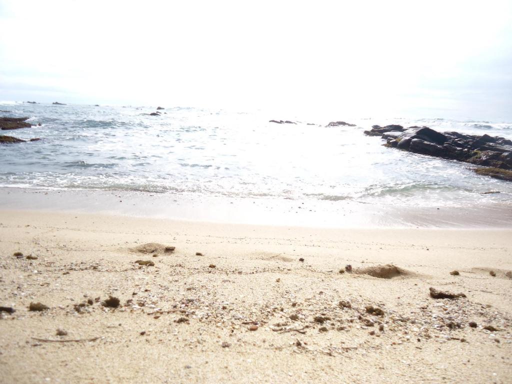 Masha Beach Inn photo