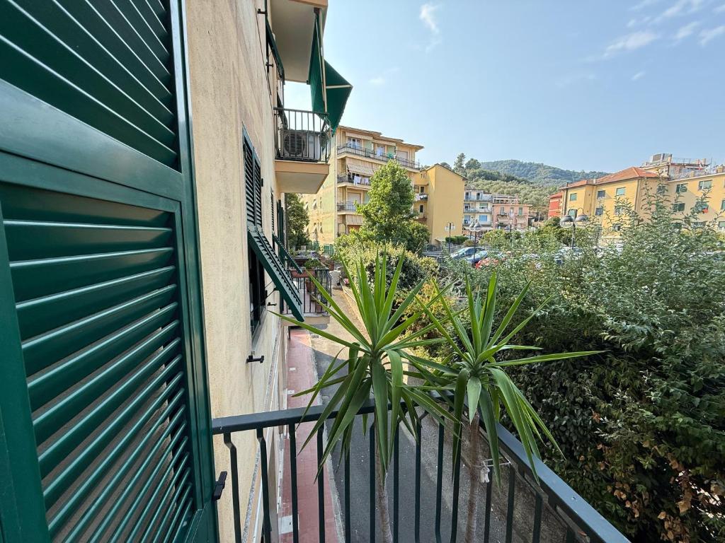 Casa Iolanda - 2