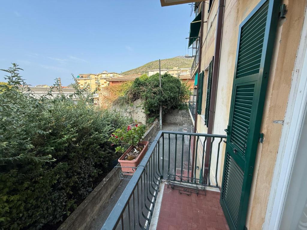 Casa Iolanda - 3
