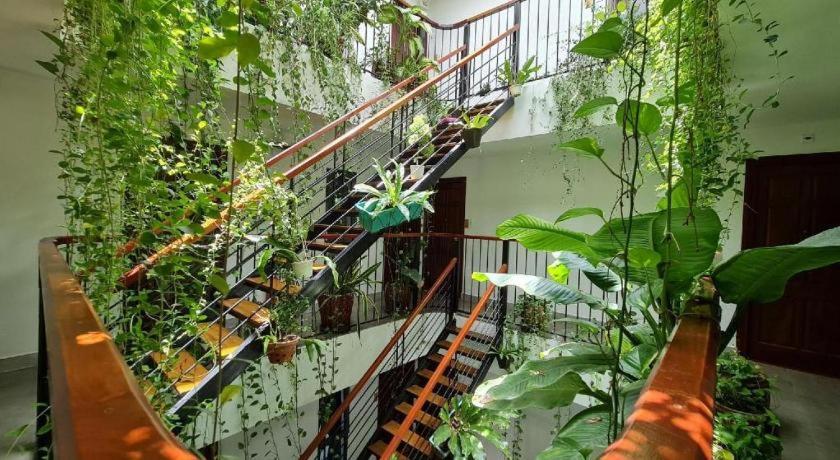 Nicobar Con Dao Hotel