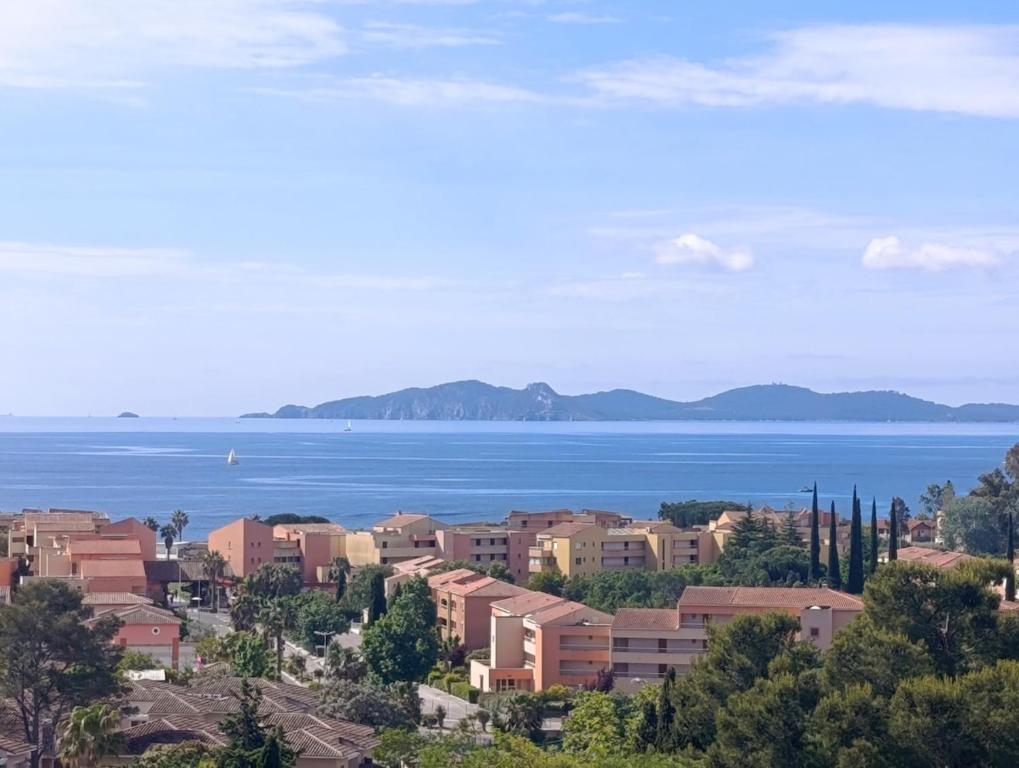 T2 très lumineux et vue mer - 5