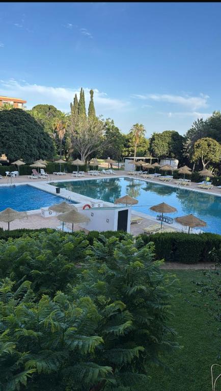 Estudio Boutique muy acogedor en Benalmádena - 5