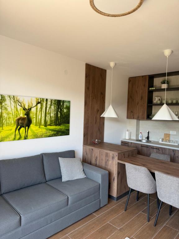 Forest apartmani - 5