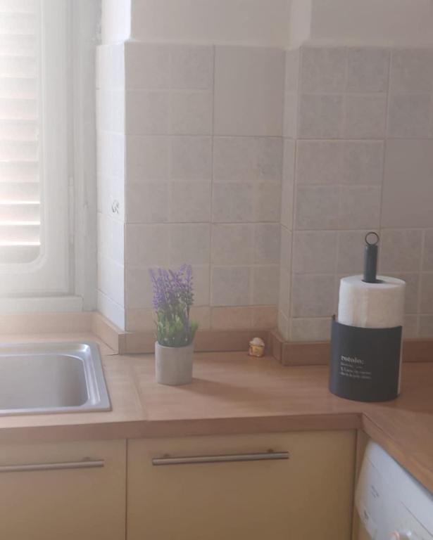 Vela apartment, in a central and convenient area - 5