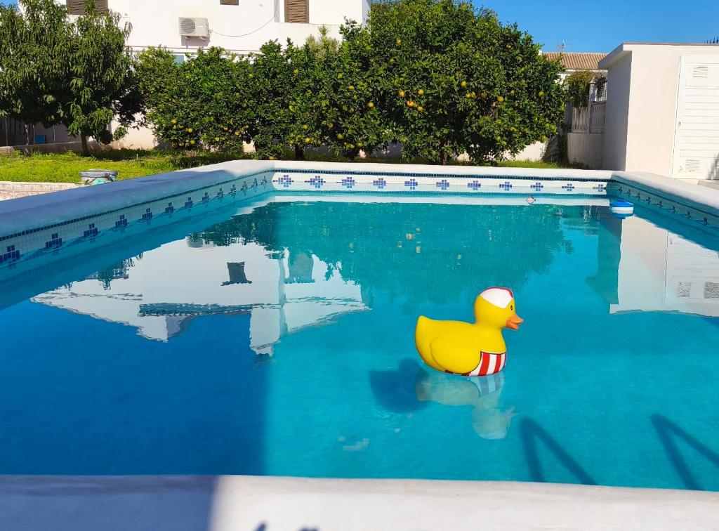 Schöne, große Wohnung in Gandia playa - 1