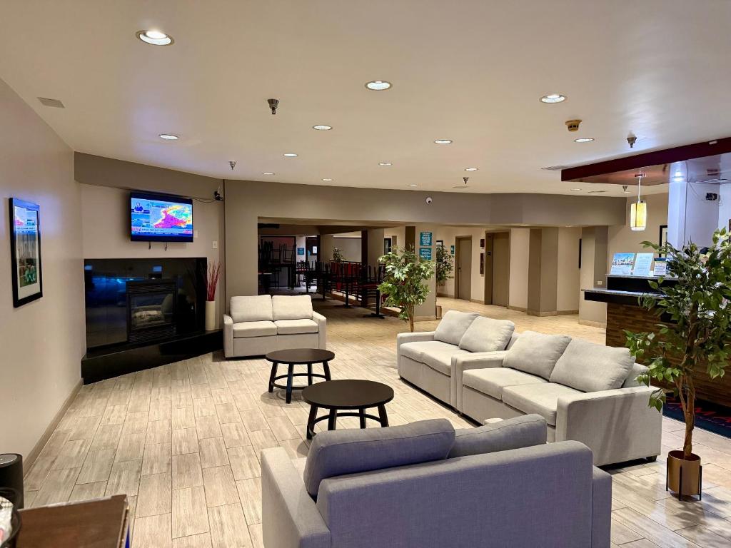 رامادا باي ويندام جلينديل هايتس/لومبارد (Ramada by Wyndham Glendale Heights/Lombard)