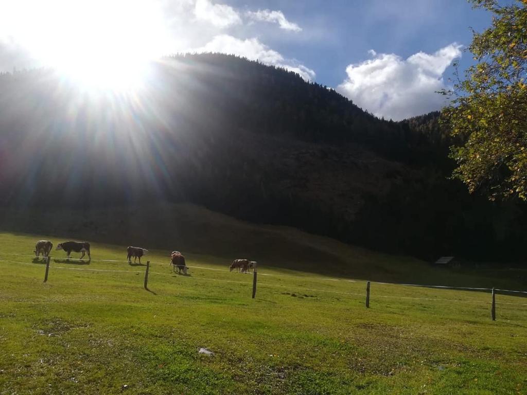 Gasthof Raufner - 5
