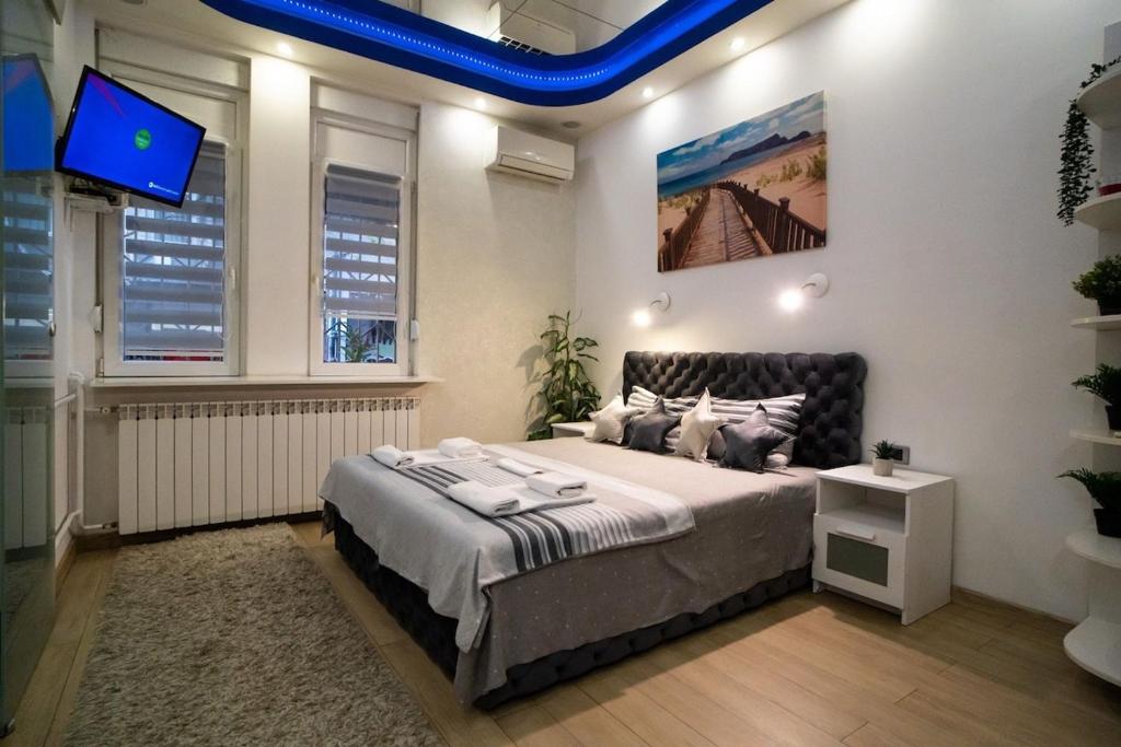 Dositej Spa Belgrade Center Apartment with Jacuzzi - 1