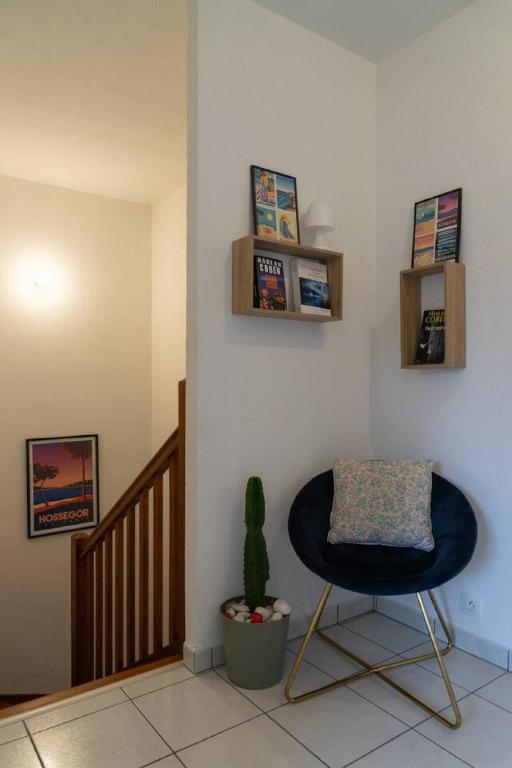 Maison tout confort proche ocean Seignosse - 5