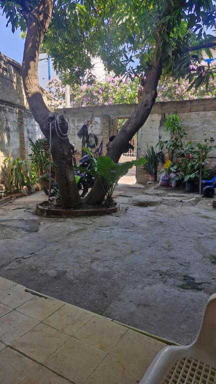 Villa Salguero - 5