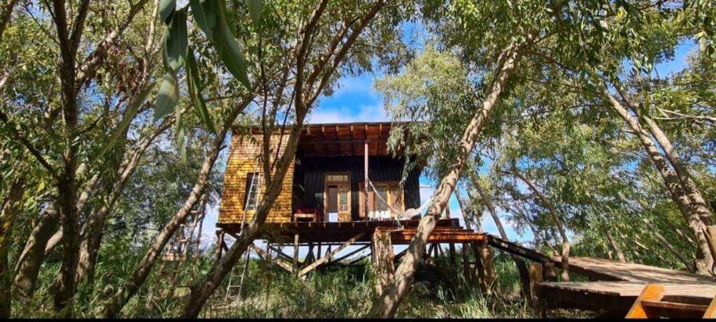 WADAVIU Refugio Isleño - 1