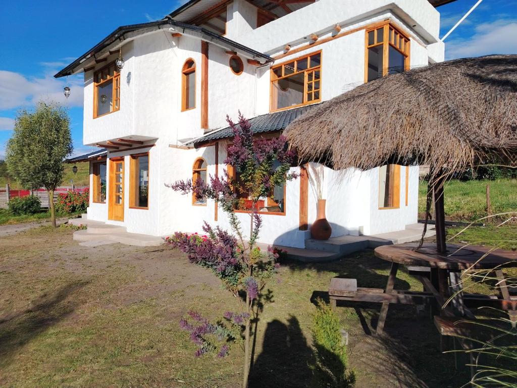 Ruta de los volcanes - 5