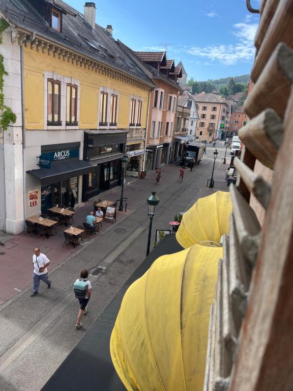 Charmant appartement, centre piéton Vieille Ville Annecy - 3