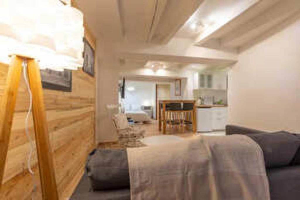Spacious studio near Lake Annecy - 2