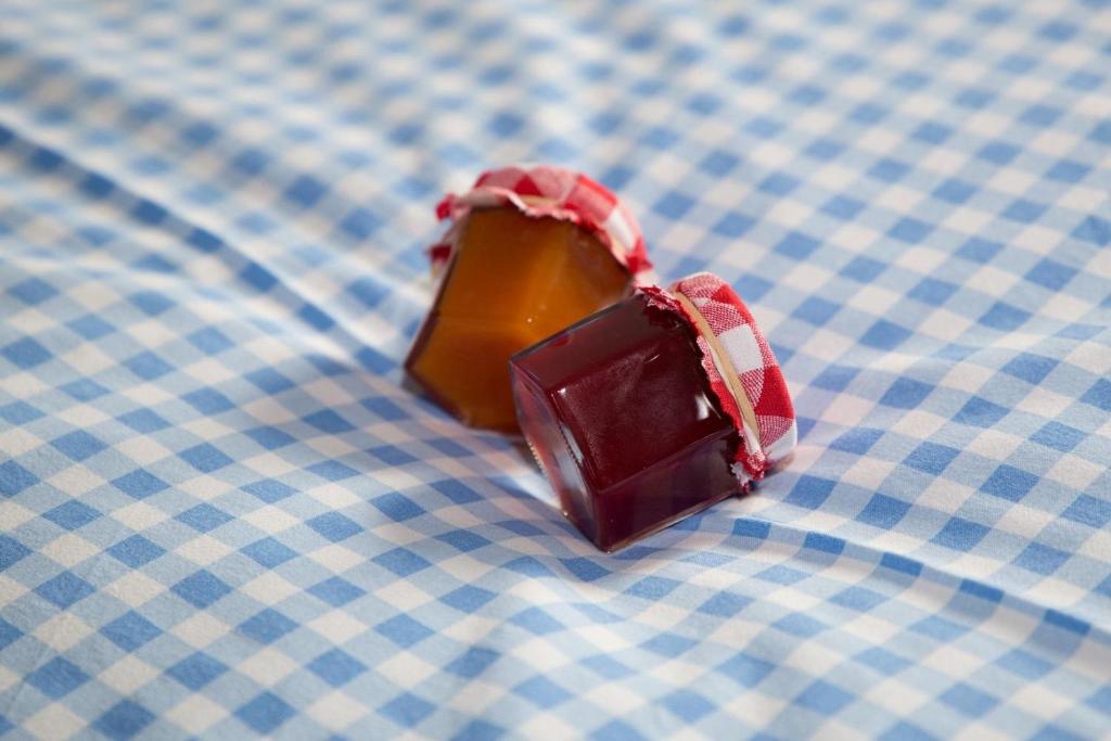 Obst- und Weinbauernhof BERNHARD - 4