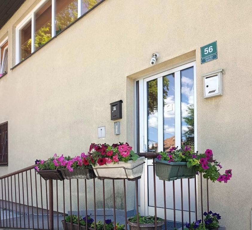 Apartman Vraca - 2