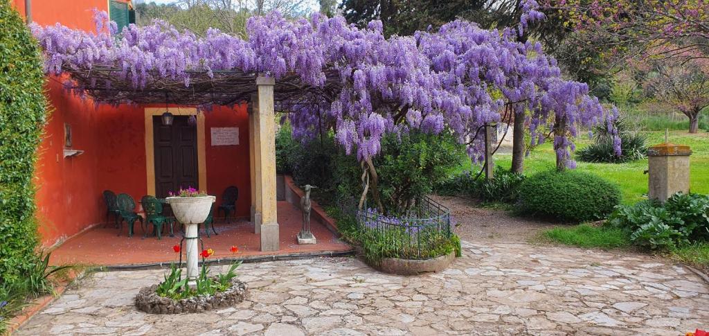 Charming Bed & Breakfast near to Lucca - 2