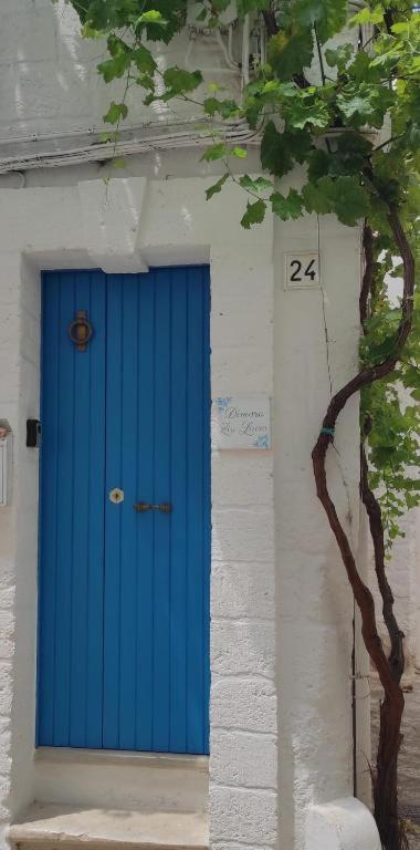 Casa Sophia - 4