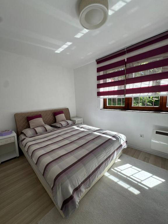 The Cozy Nest - 4
