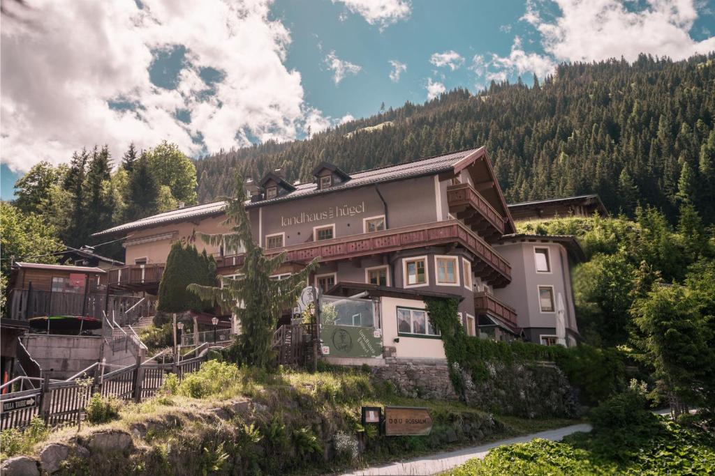 Landhaus am Hügel - 1