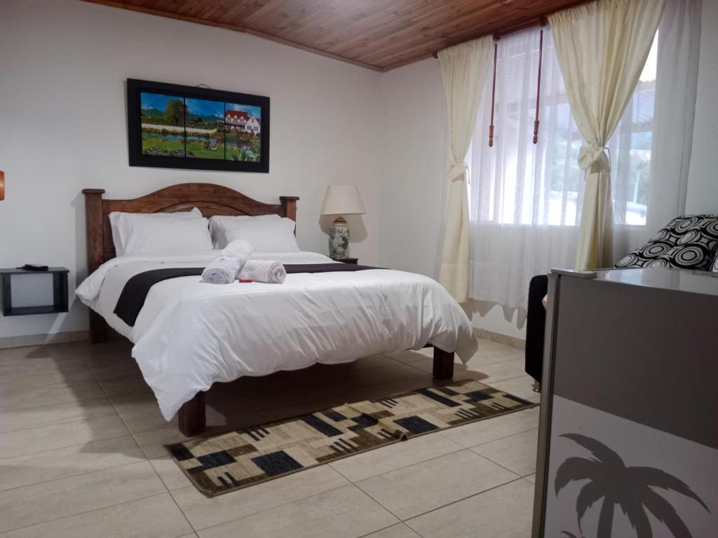 Hotel La Palmita - 4