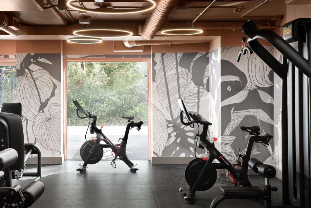 Palestra