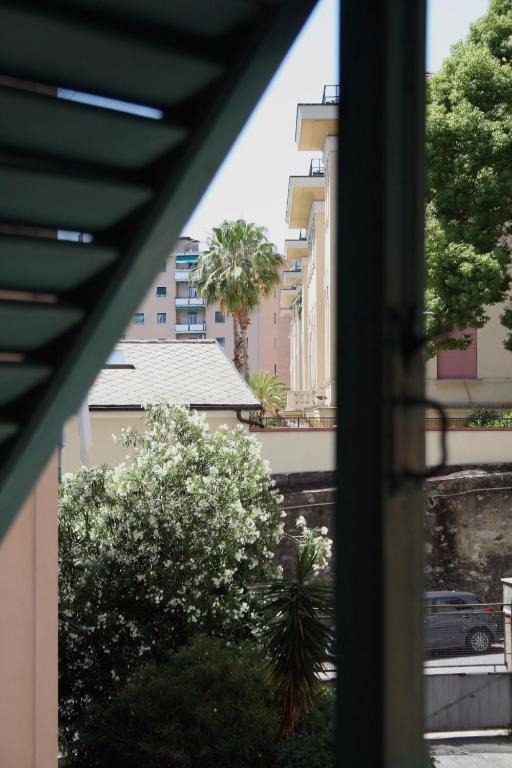 Midcentury design with a view - 4