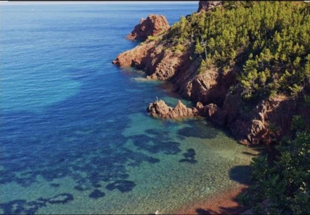 Beau 65 M2 en Front de Mer à St Raphaël - Piscine - 3