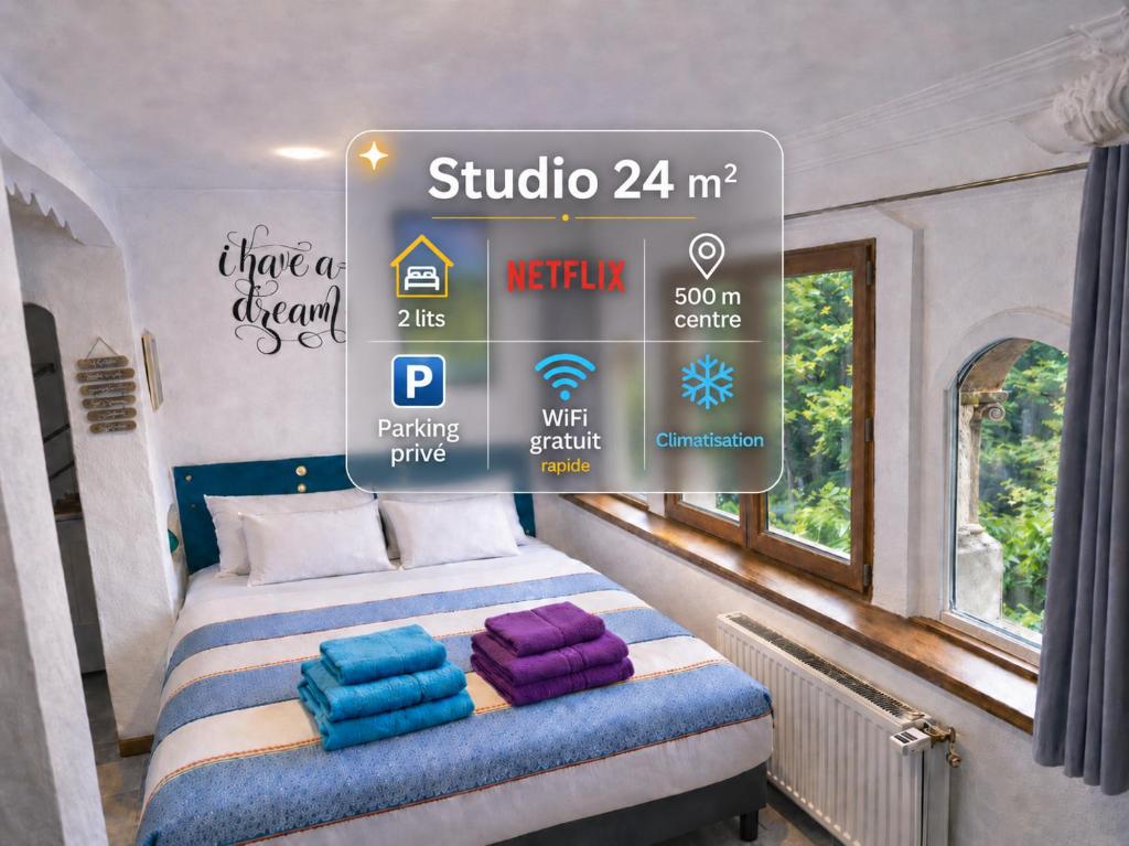 Studio PREMIUM cosy classé 24m2, 2 lits, proche centre, Netflix, Climatisation, Parking privé - 1