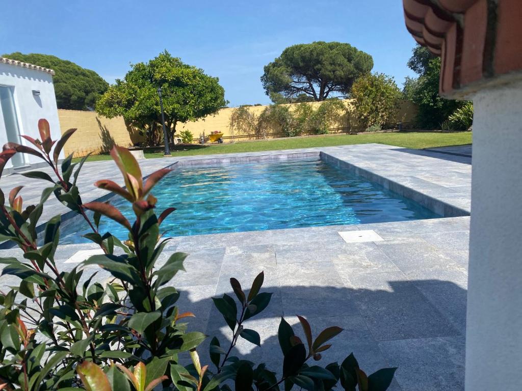 La alberca - 1
