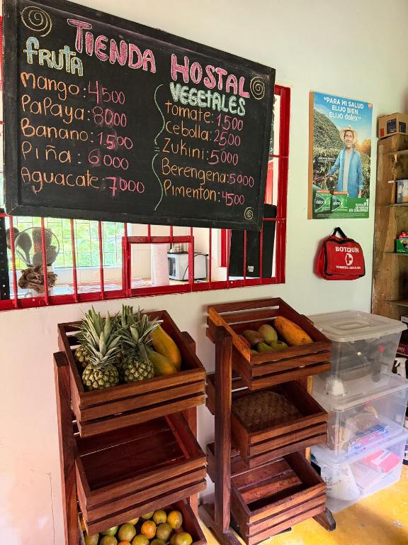 Hacienda Venecia Hostel - 5