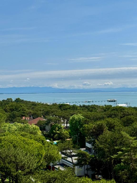 Apartment with stunning sea view - Wi-Fi, free parking, large terrace and comfort - 3