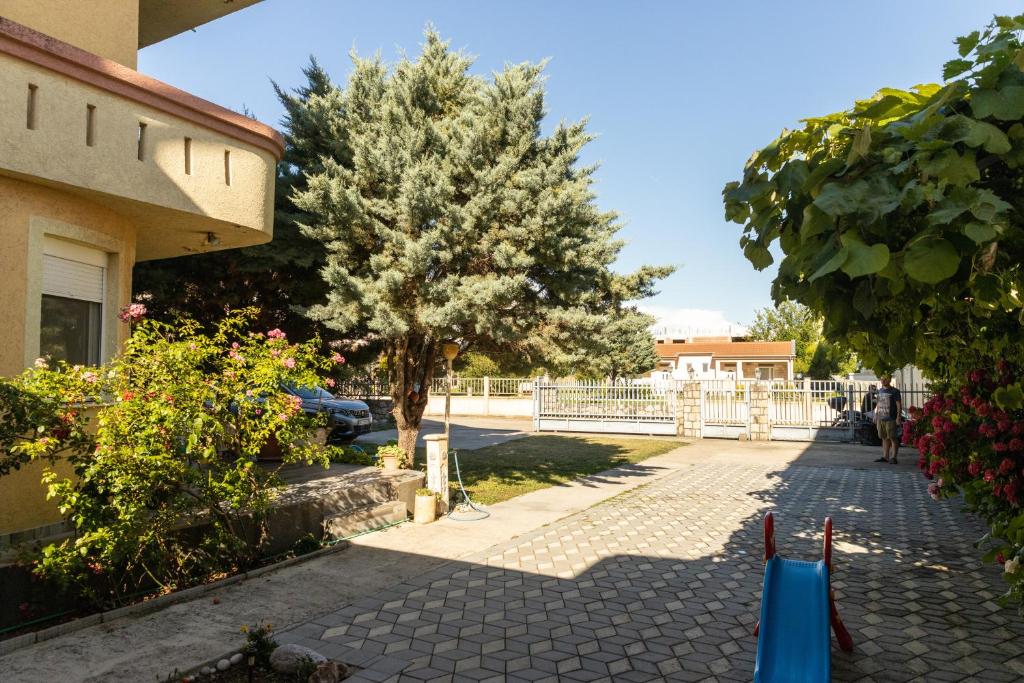 Mali Medved Ulcinj - 5