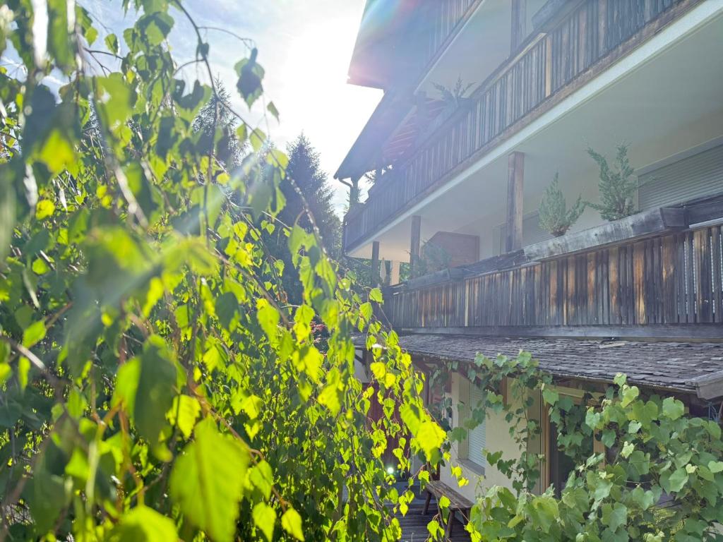 Fuchsmaurer Plose - Apartments bei Brixen - 2