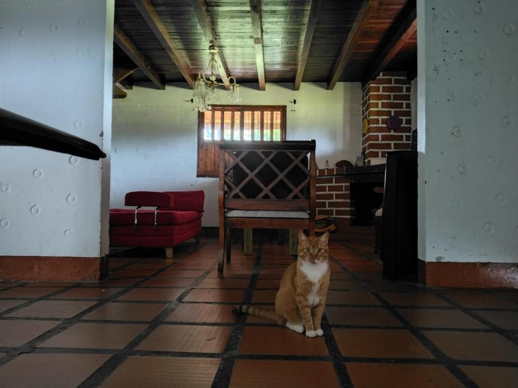 La Villa en Santa Elena Medellin Montaña y Bosque - 2
