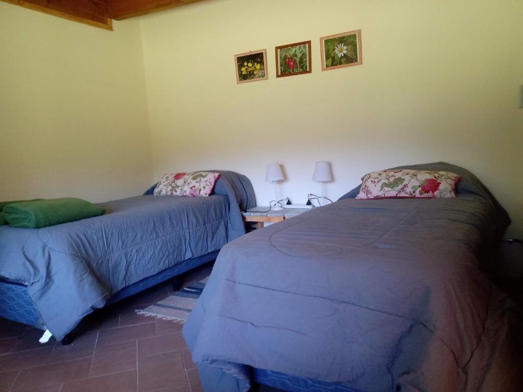 NIDO VERDE - 4