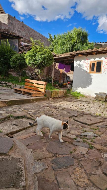 Casa Verde Home - 3