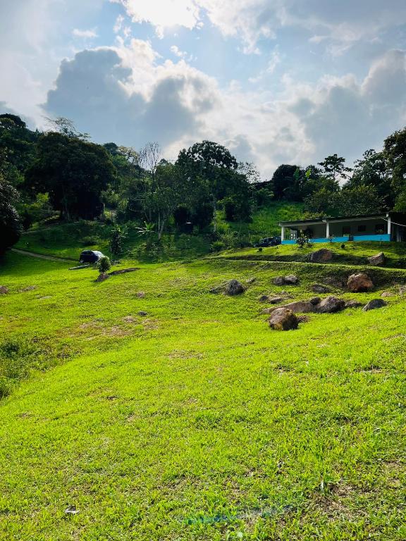 Finca Lantana Oficial - 2