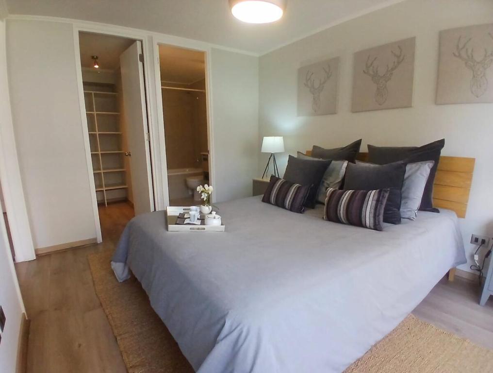 New furnished 1 bedroom, 1 bath, 50 m2 apartment in Macul - 5