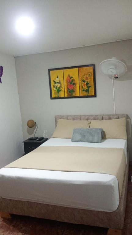 Hotel Iam Armenia Quindio - 5
