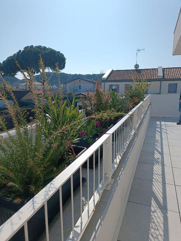 Verdemare - 2