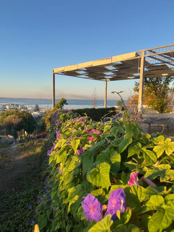 Il Giardino Nascosto - 1