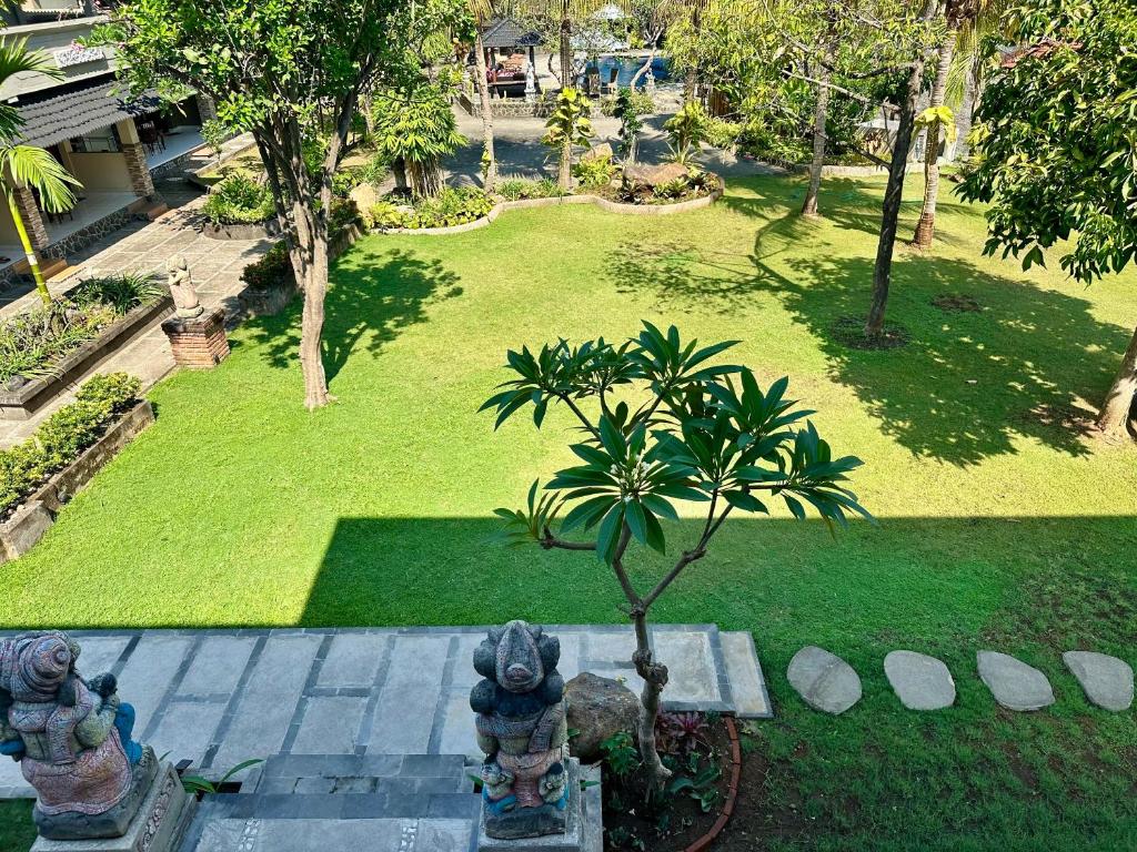 View