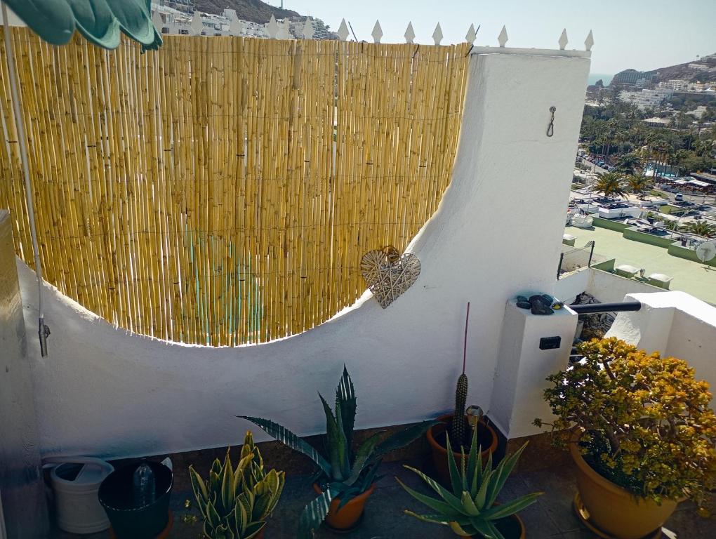 Most sunny days on Gran Canaria - 3
