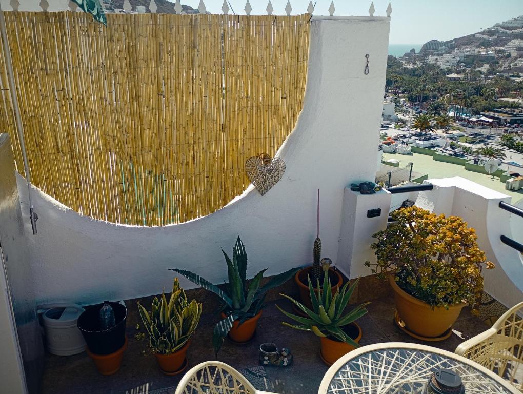 Most sunny days on Gran Canaria - 4