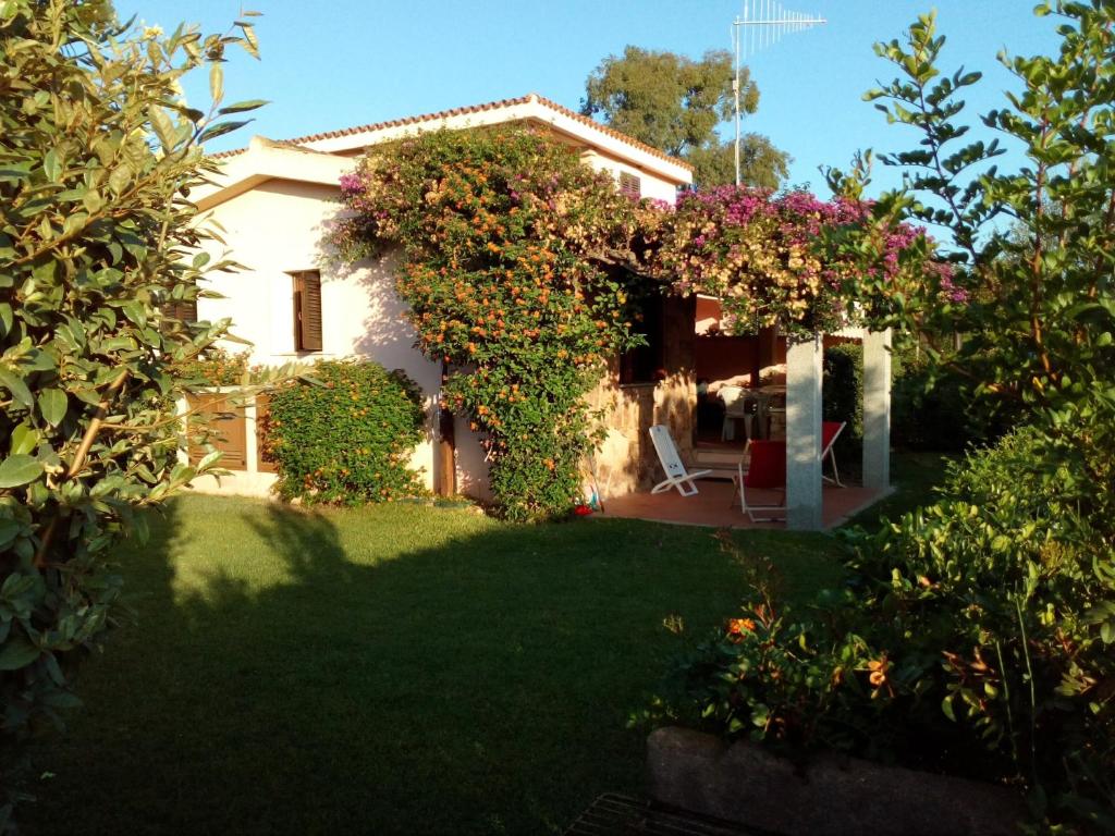 Gli Oleandri - 1