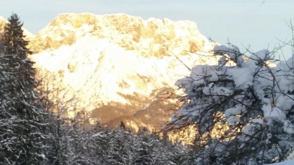 FeWo Untersberg 38m im Lehnhäusl - 3